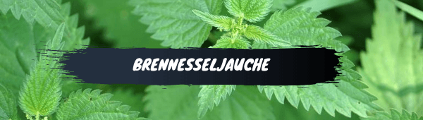 Brennesseljauche kaufen