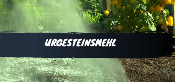 urgesteinsmehl